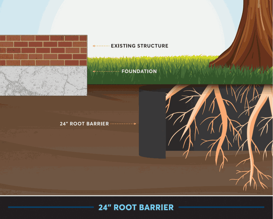 Root barrier wall diagram
